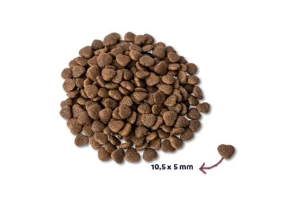 Renske Super Premium Adult Verse Zalm 6 KG 2 Renske Super Premium Adult Verse Zalm 6 KG - Image 2