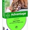 Bayer Advantage Kat 80 VANAF 4 KG 4 PIP