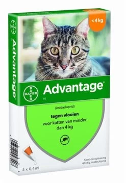 Bayer Advantage Kat 40 TOT 4 KG 4 PIP