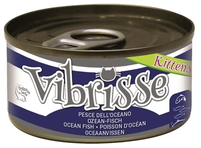 Vibrisse Kittens Cat Oceaanvis 24X70 GR 1 Vibrisse Kittens Cat Oceaanvis 24X70 GR