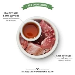 Lily's Kitchen Cat Smooth Pate Chicken 19X85 GR -Boetiekwinkel Voor Dierenbenodigdheden 399137 02