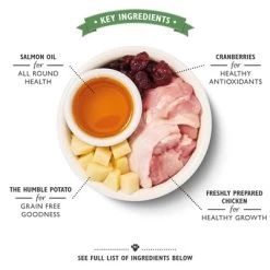 Lily's Kitchen Cat Kitten Chicken / White Fish 800 GR -Boetiekwinkel Voor Dierenbenodigdheden 399145 02