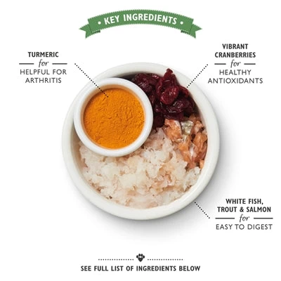 Lily's Kitchen Cat Senior Fish / Turkey Recipe 800 GR 2 Lily's Kitchen Cat Senior Fish / Turkey Recipe 800 GR - Image 2