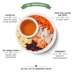 Lily's Kitchen Cat Fisherman's Feast Fish 800 GR -Boetiekwinkel Voor Dierenbenodigdheden 399147 02