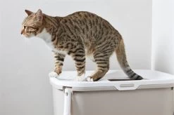 Savic Kattenbak Hop In Mocca / Wit 58,5X39X39,5 CM -Boetiekwinkel Voor Dierenbenodigdheden 409988 09