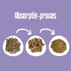 Easypets Biodegradable Classic Houtkorrels Kattenbakvulling 20 LTR -Boetiekwinkel Voor Dierenbenodigdheden 410061 03