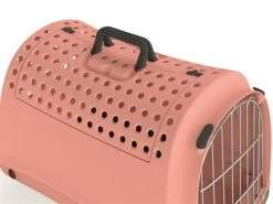 Boetiekwinkel Voor Dierenbenodigdheden -Boetiekwinkel Voor Dierenbenodigdheden 410289 01