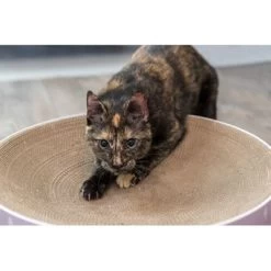 Trixie Krabmand Lilly Karton Catnip Lila 45X45X10 CM 11 Trixie Krabmand Lilly Karton Catnip Lila 45X45X10 CM -Boetiekwinkel Voor Dierenbenodigdheden 410581 04