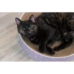 Trixie Krabmand Lilly Karton Catnip Lila 45X45X10 CM 13 Trixie Krabmand Lilly Karton Catnip Lila 45X45X10 CM -Boetiekwinkel Voor Dierenbenodigdheden 410581 06