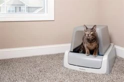 Scoopfree Zelfreinigende Kattenbak Met Kap -Boetiekwinkel Voor Dierenbenodigdheden 411846 03