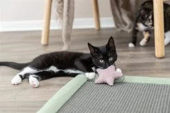 Trixie Kitten Krabmat Mintgroen 47X47 CM -Boetiekwinkel Voor Dierenbenodigdheden 412154 05