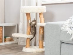 Trixie Krabpaal Santo Hout Creme 38X38X73 CM -Boetiekwinkel Voor Dierenbenodigdheden 414412 04