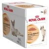 Royal Canin Wet Intense Beauty 12X85 GR