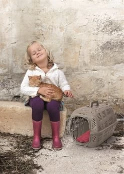 Boetiekwinkel Voor Dierenbenodigdheden -Boetiekwinkel Voor Dierenbenodigdheden 98138 01